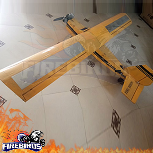 Balsa RC Model 30cc 8ft Wingspan